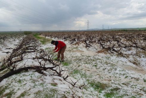 تگرگ چقدر می تواند خسارت بزند؟