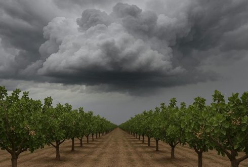 ابر کومولونیمبوس چیست و چگونه تشکیل می‌شود؟