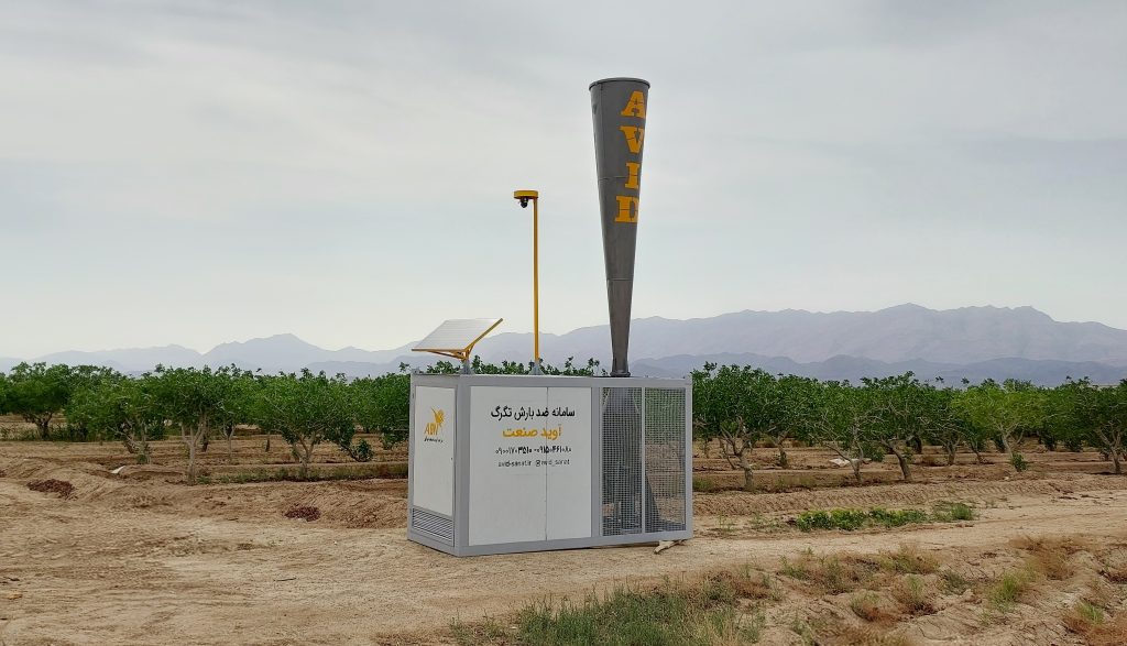 محافظت از درختان پسته